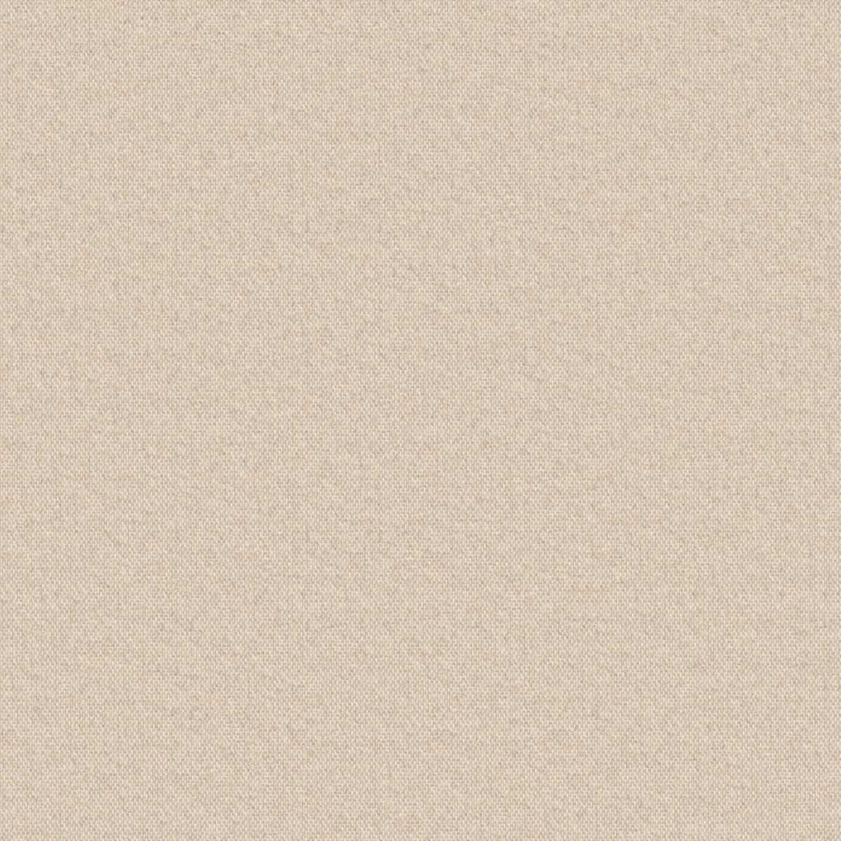 Amare 2626-81