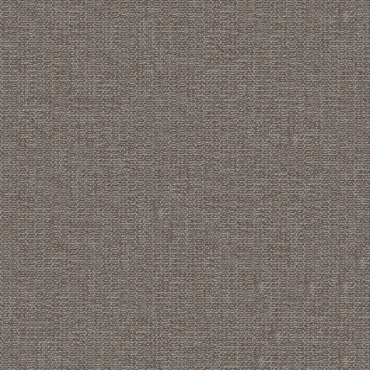 Amber 2111-01
