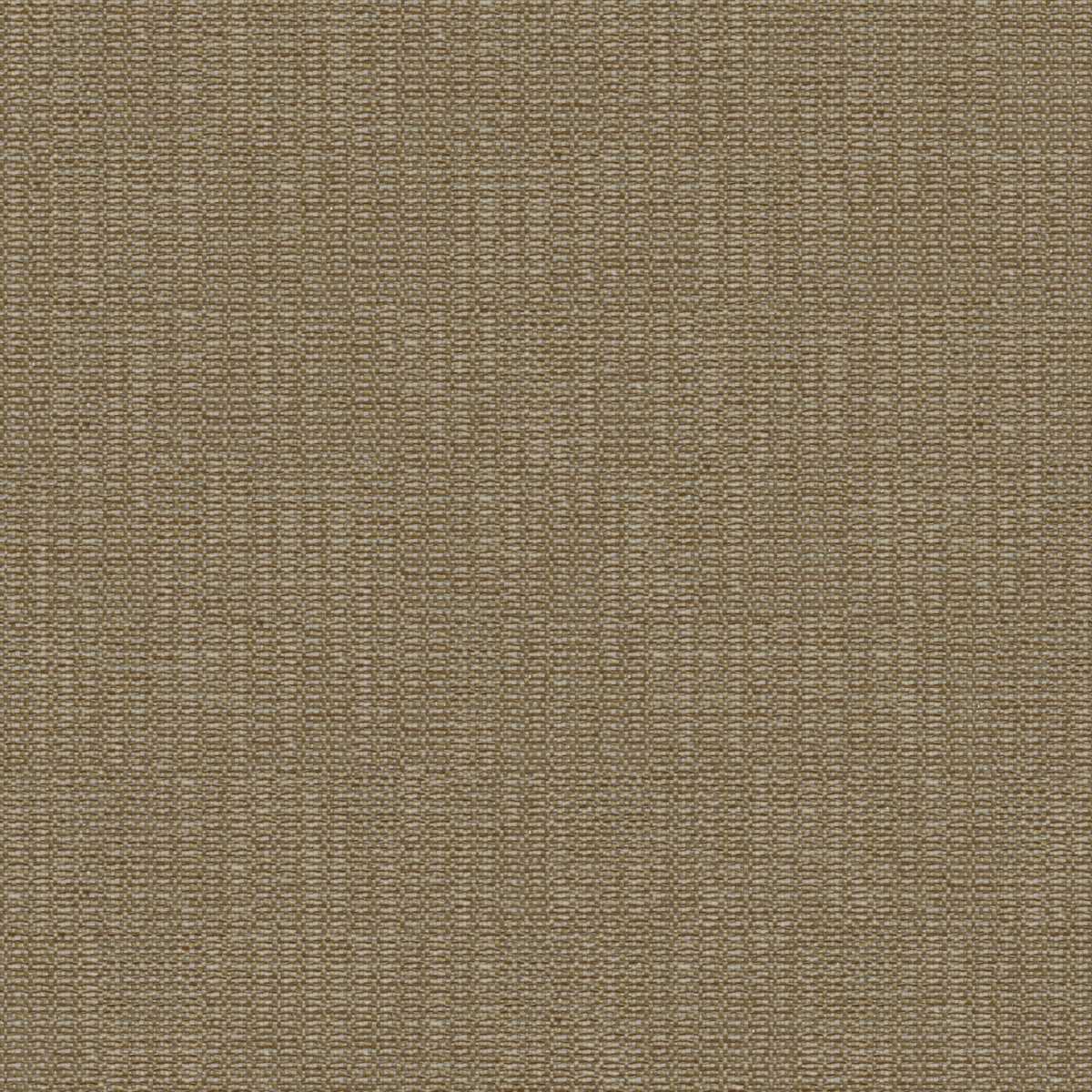 Amber 2111-06