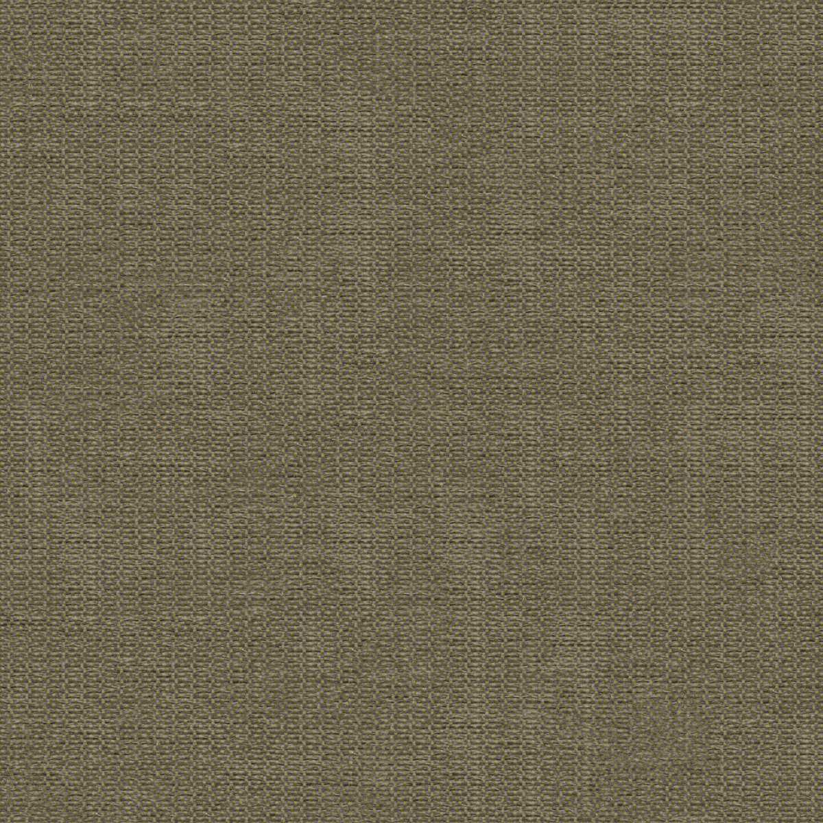 Amber 2111-10