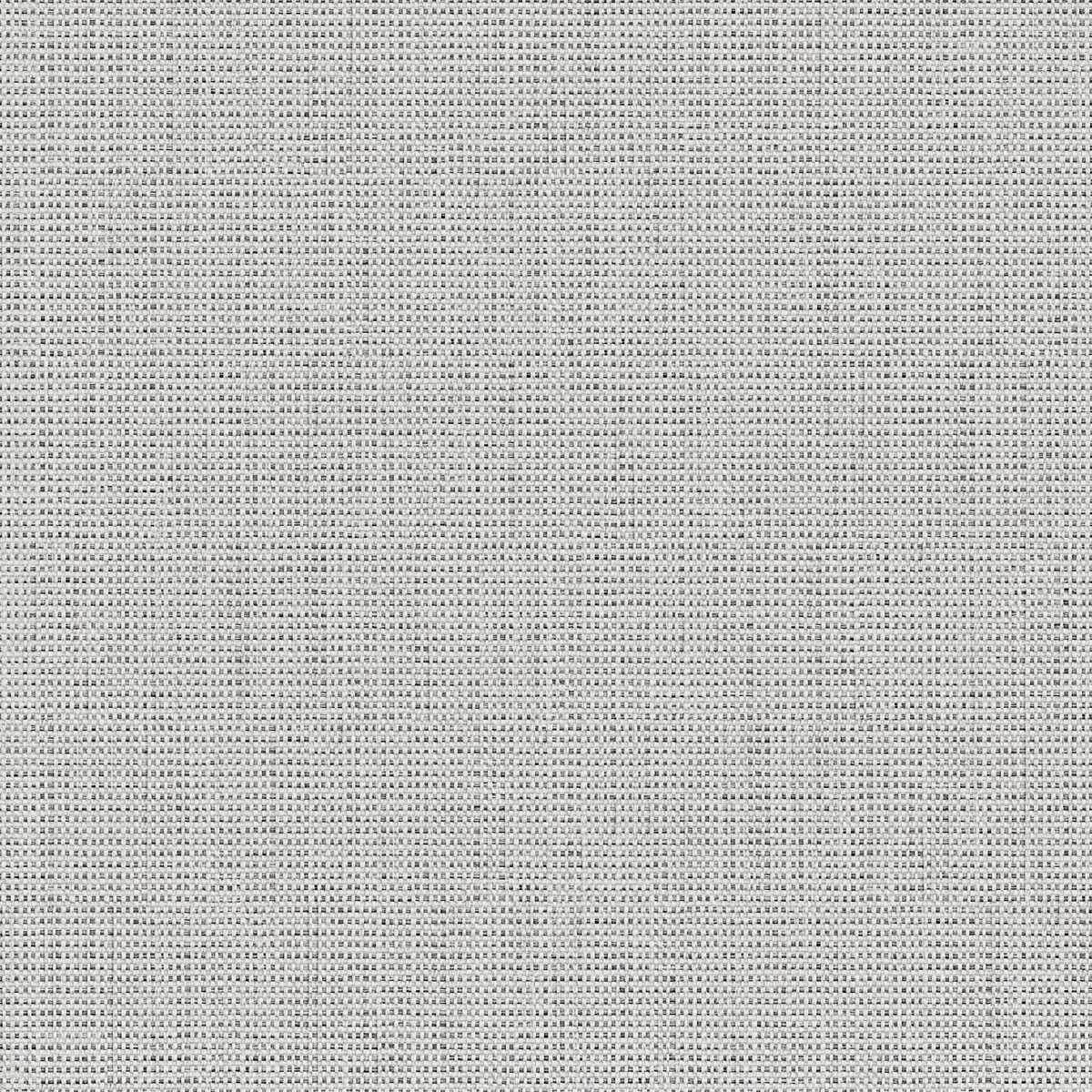 Birch 2112-01