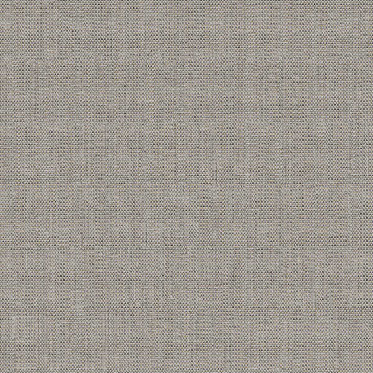Birch 2112-02