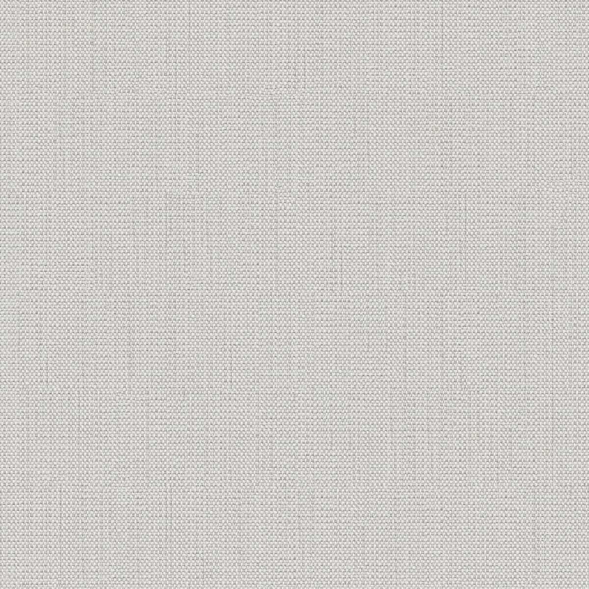 Birch 2112-03