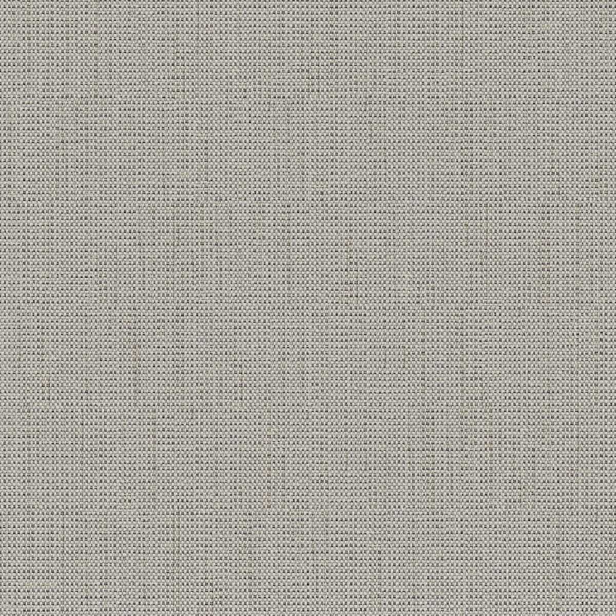 Birch 2112-04