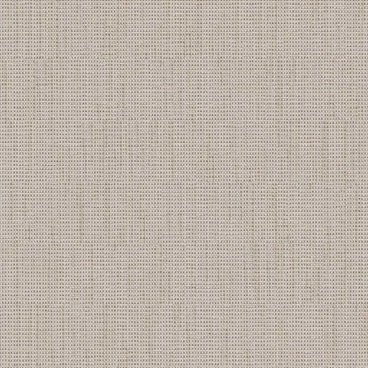 Birch 2112-06