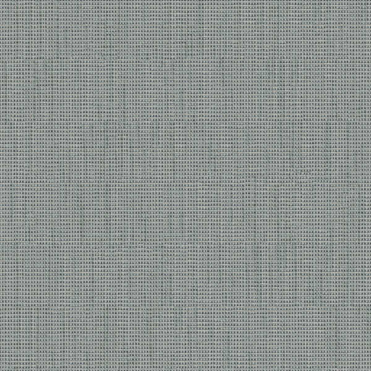 Birch 2112-07