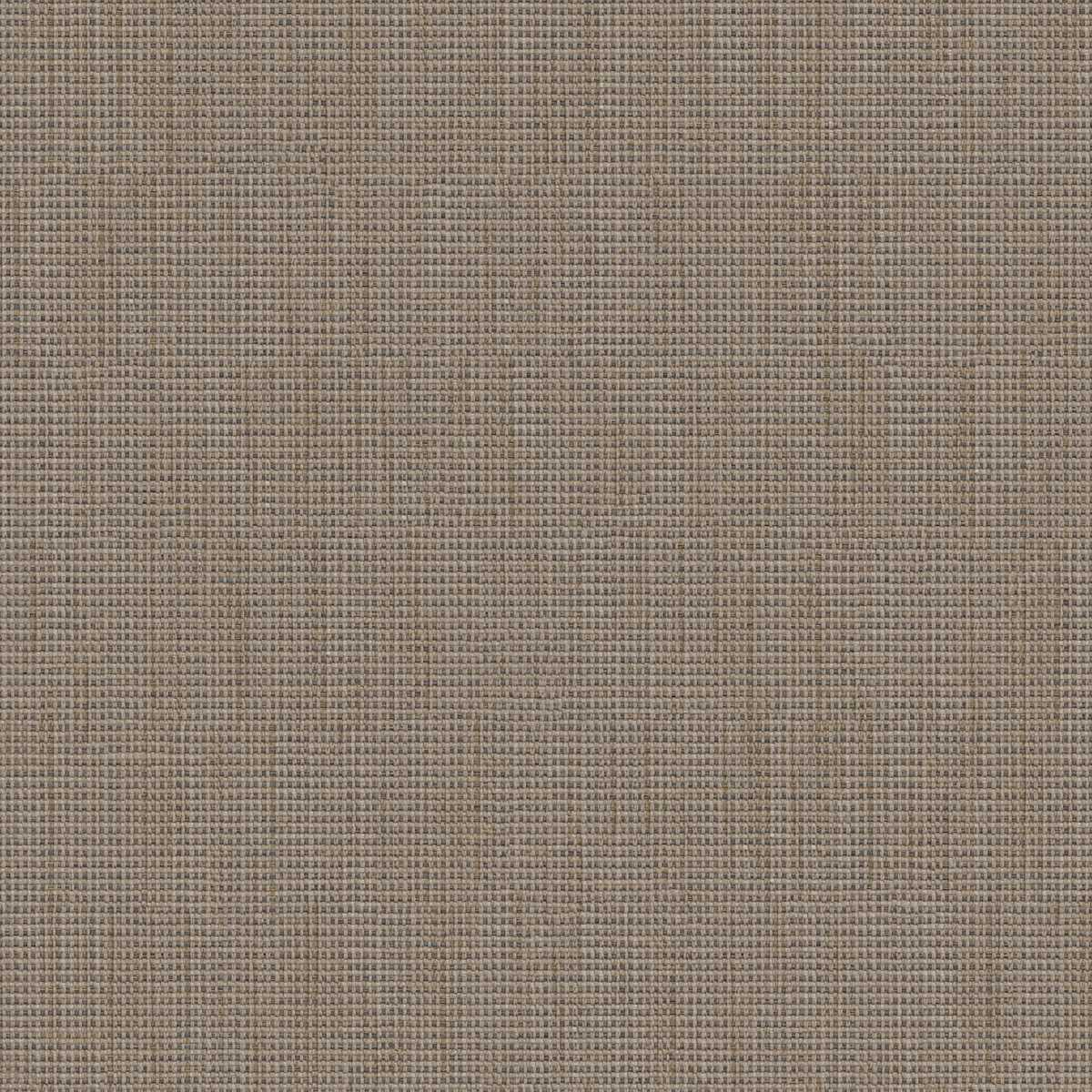 Birch 2112-08
