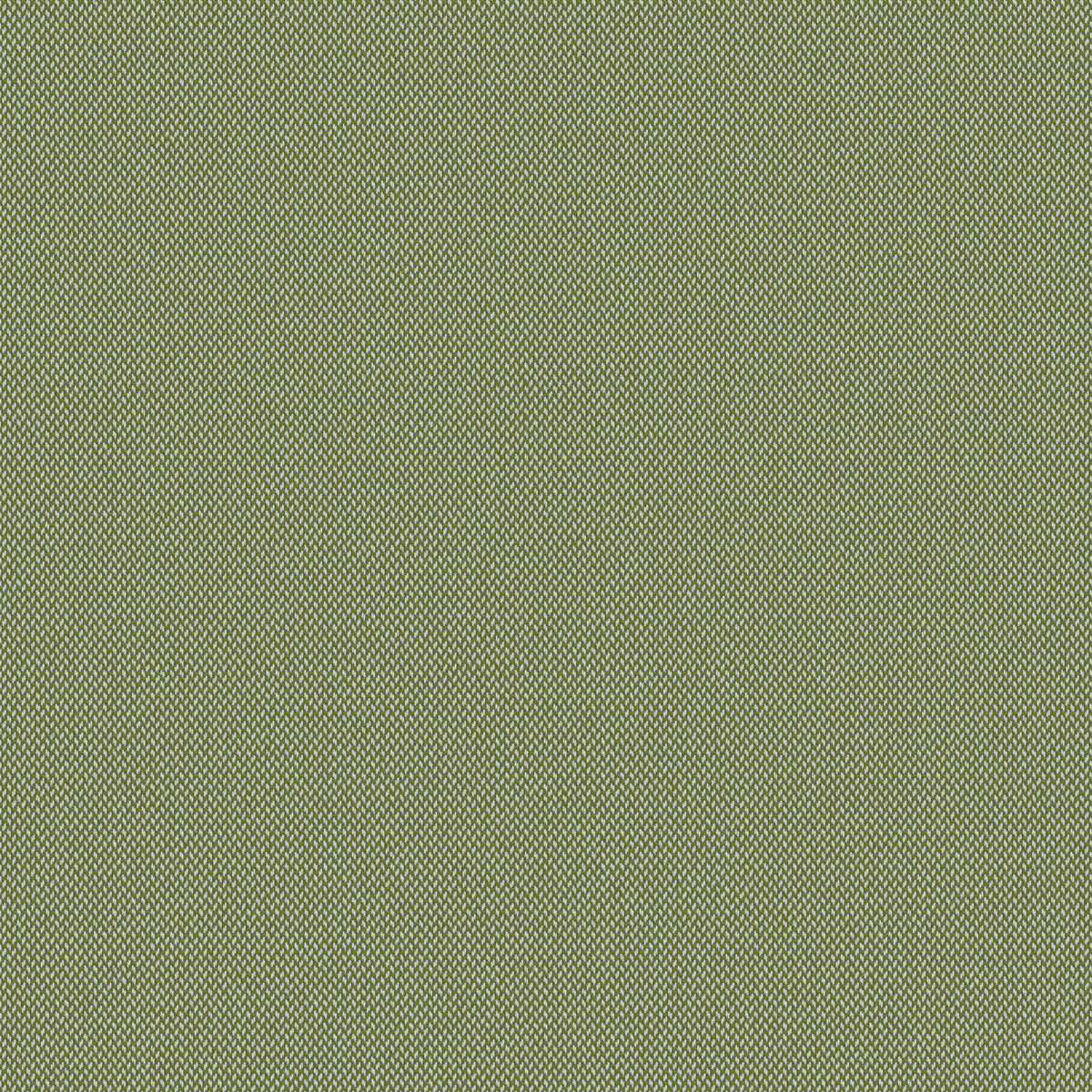 Clint 7084-05