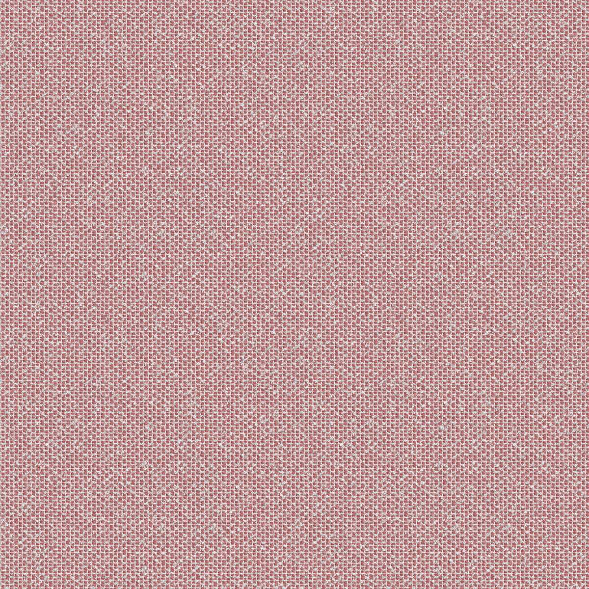 Coral 7083-01