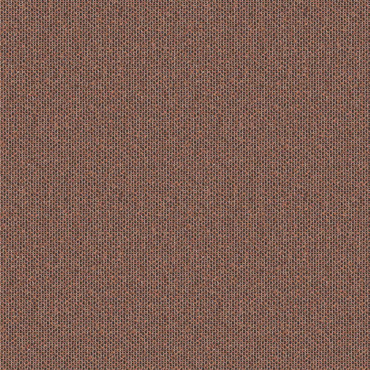 Coral 7083-03