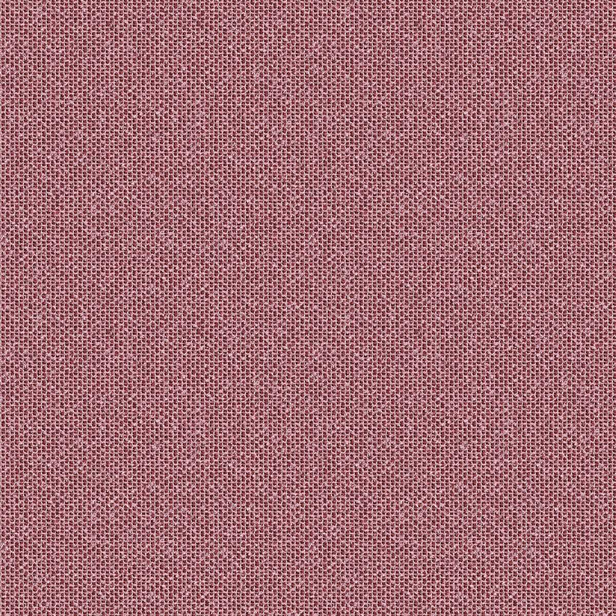 Coral 7083-04