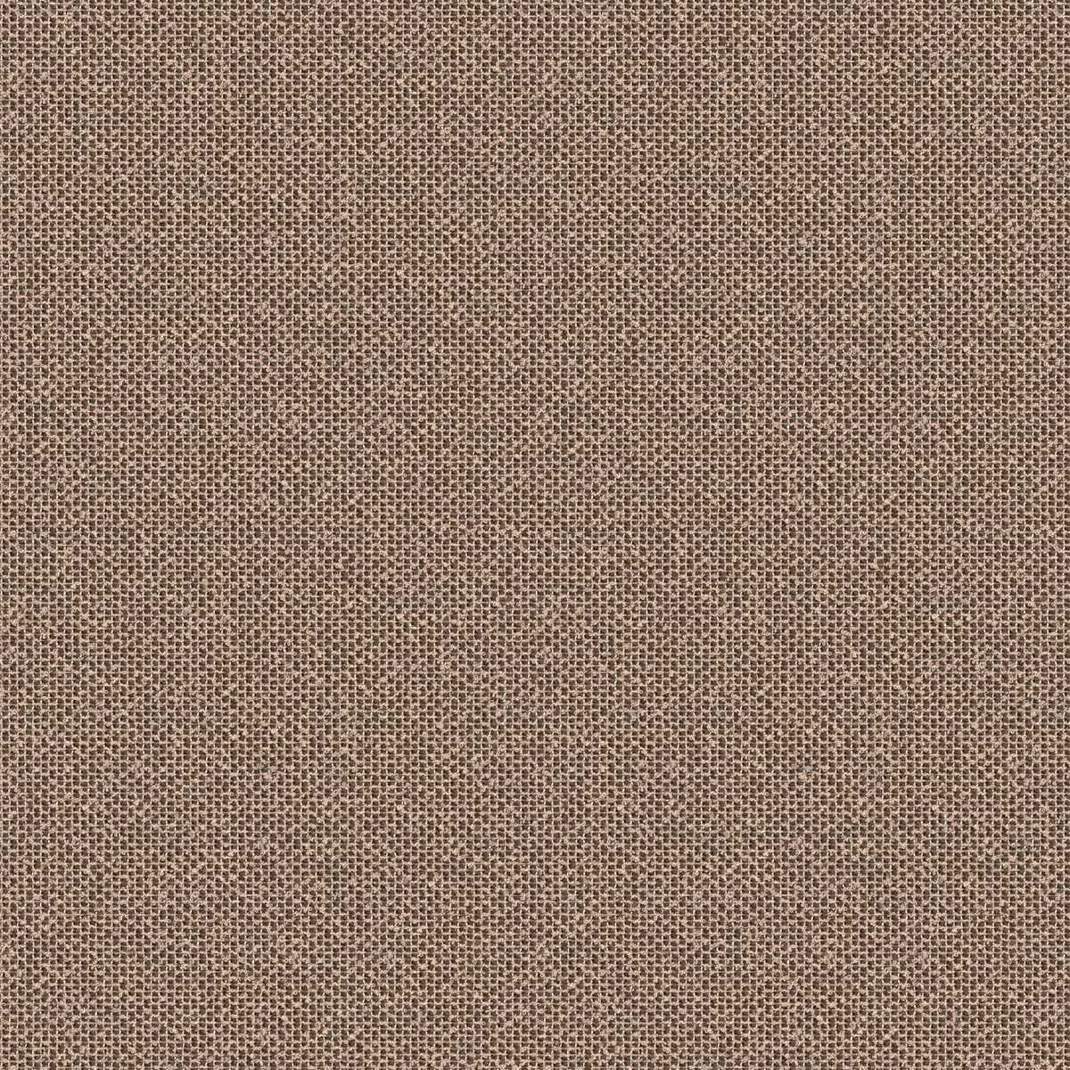 Coral 7083-12