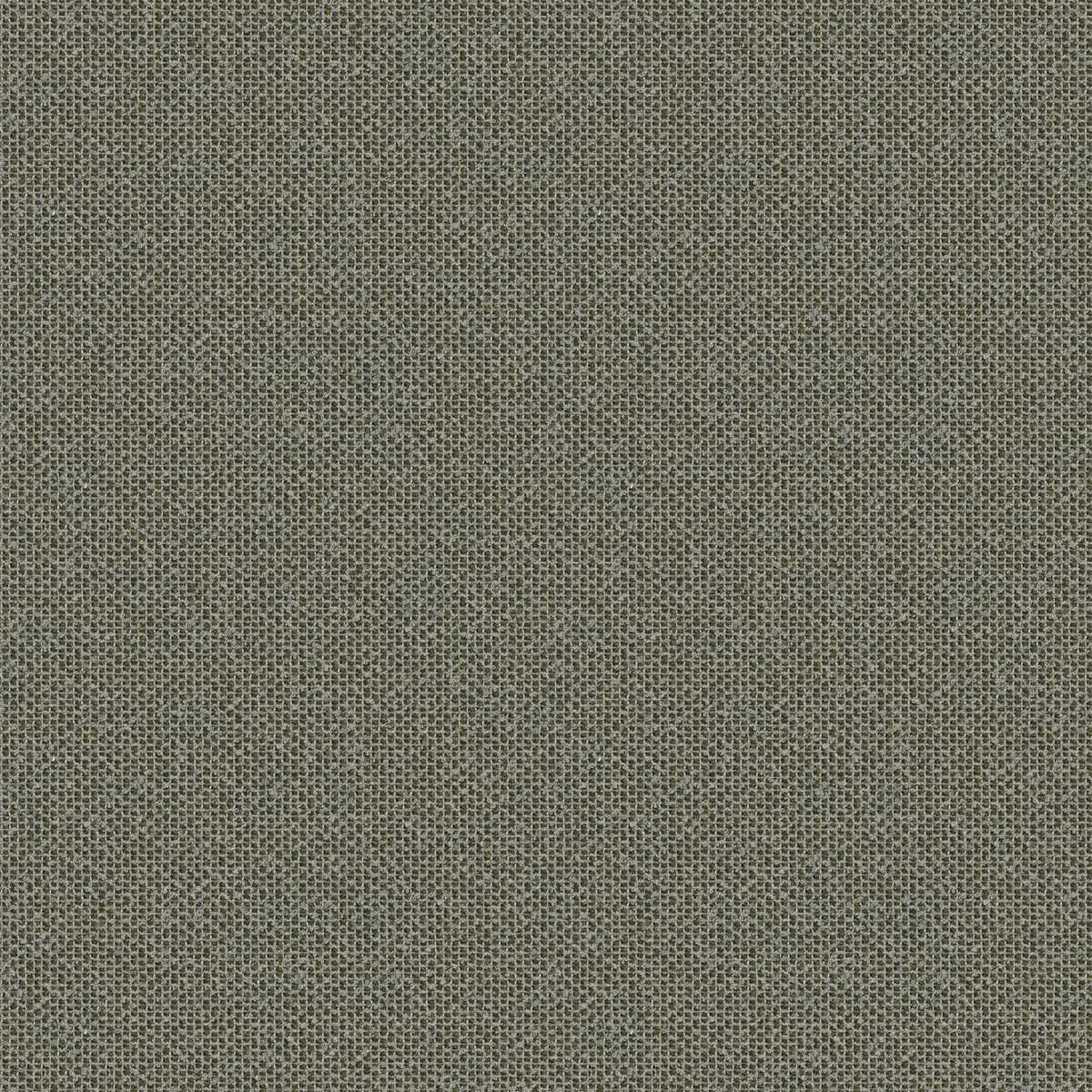 Coral 7083-14
