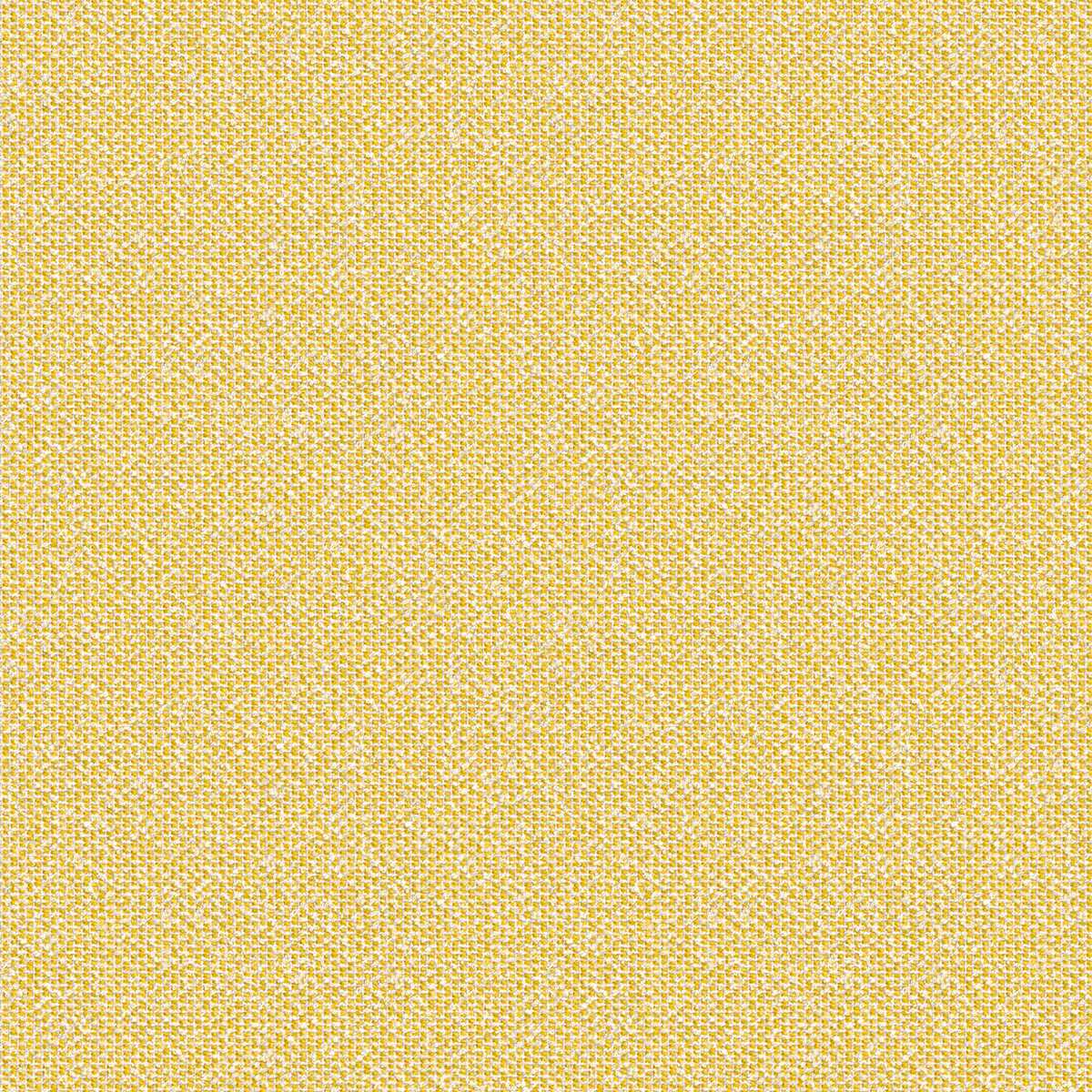 Coral 7083-17