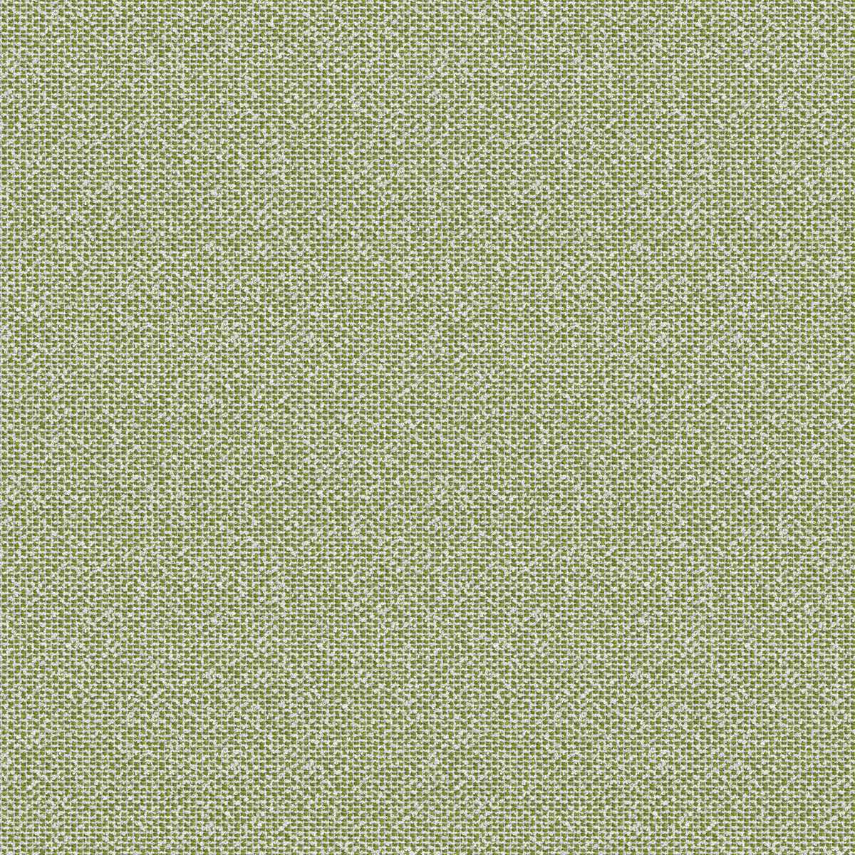 Coral 7083-21