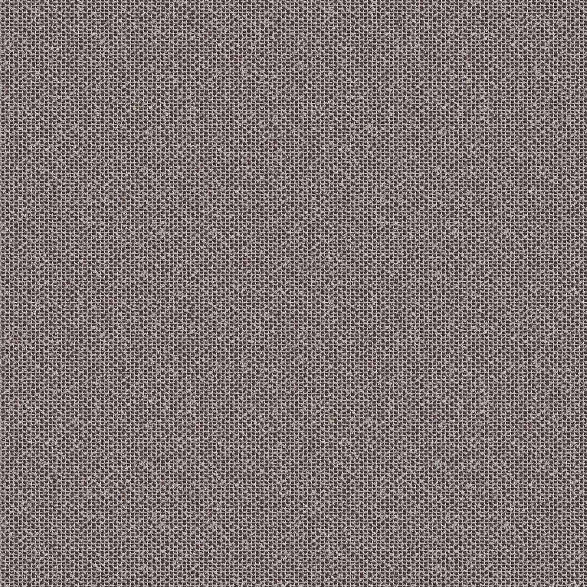 Coral 7083-22