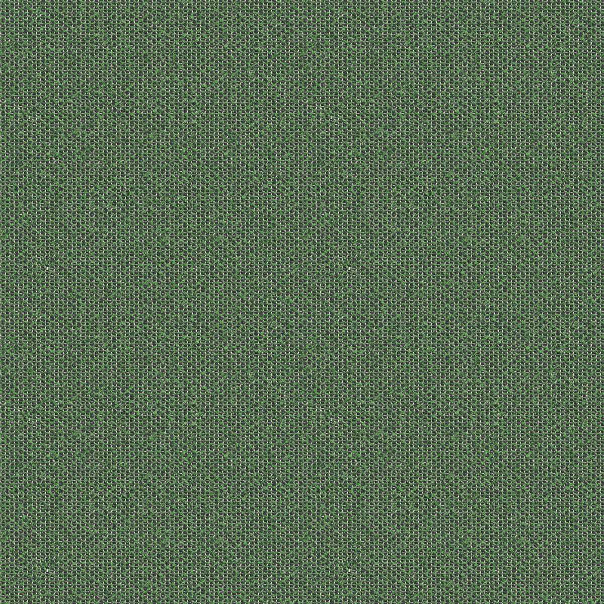 Coral 7083-23