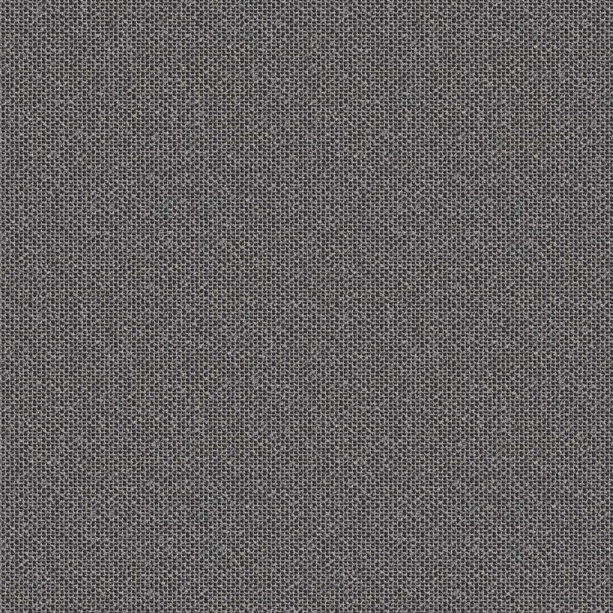 Coral 7083-31