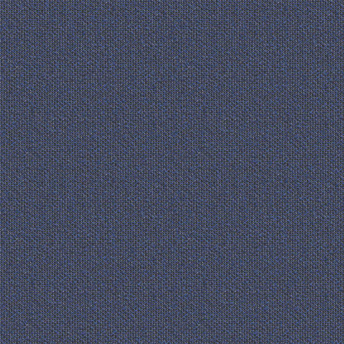 Coral 7083-32