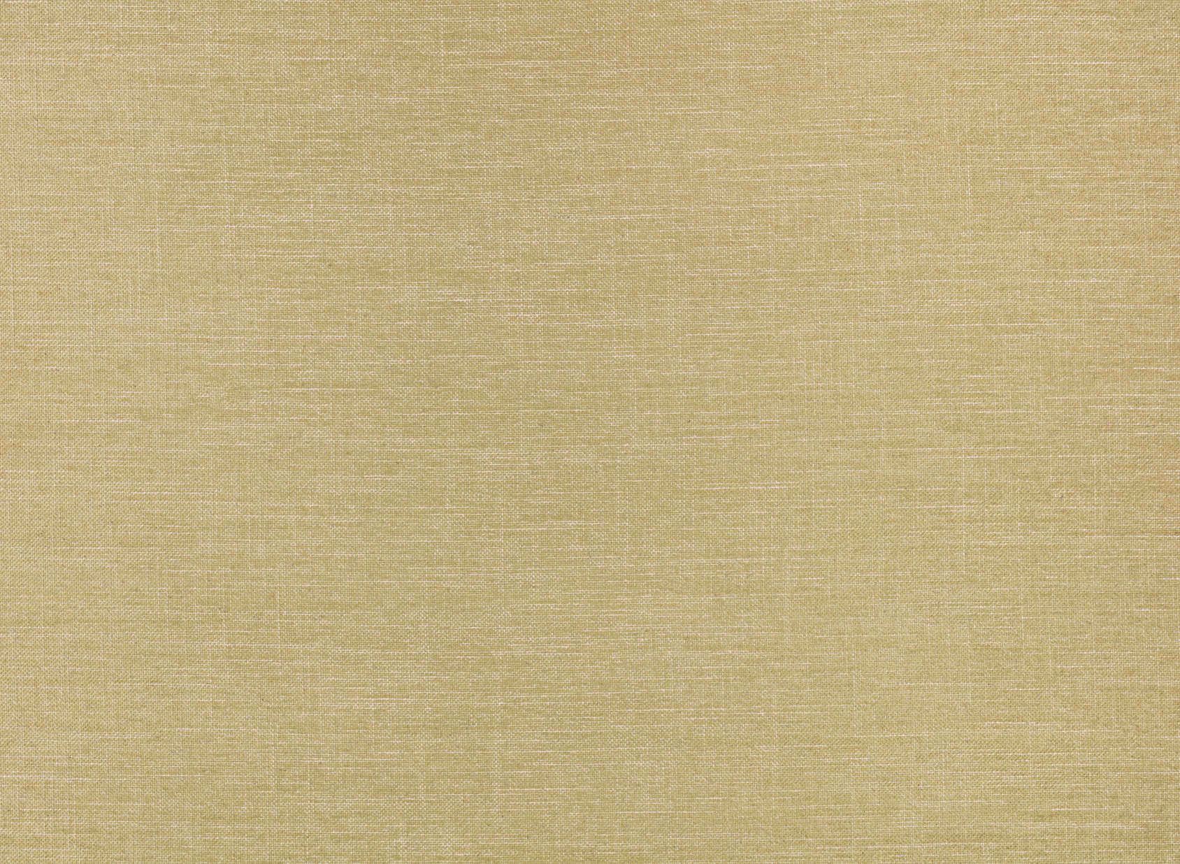 Alberta Palm V3136-24