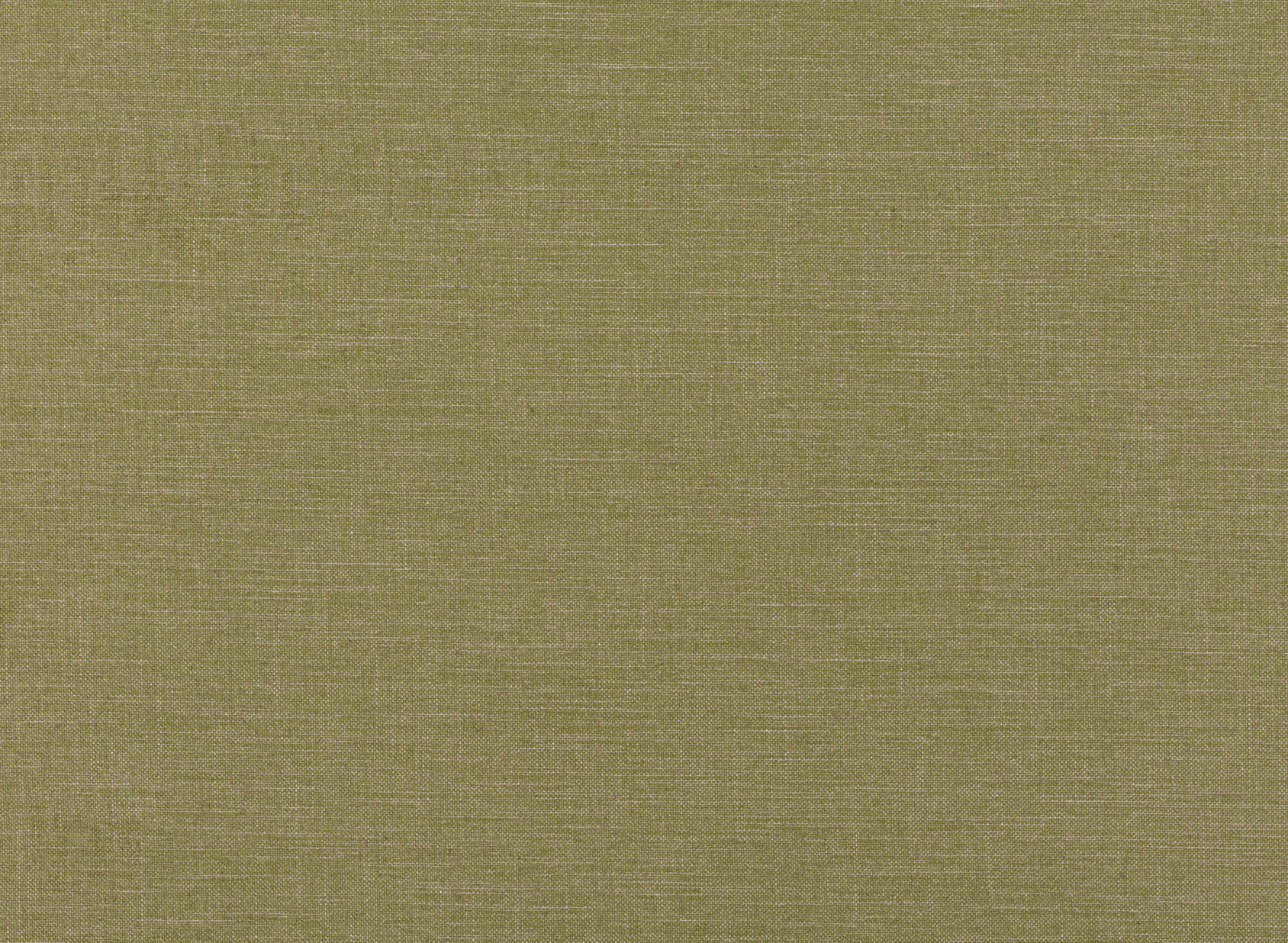 Alberta Asparagus V3136-27