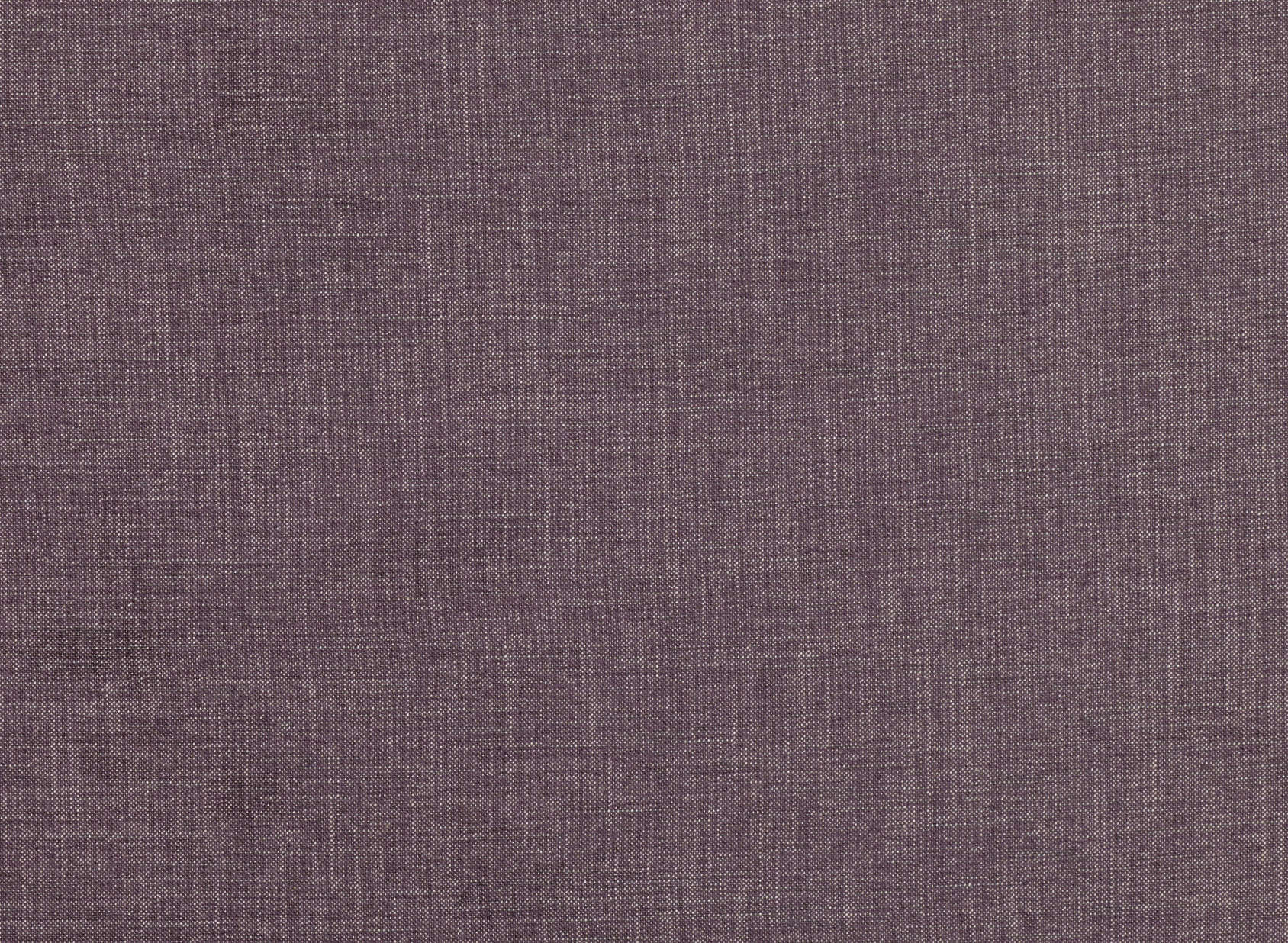 Alberta Grape V3136-34