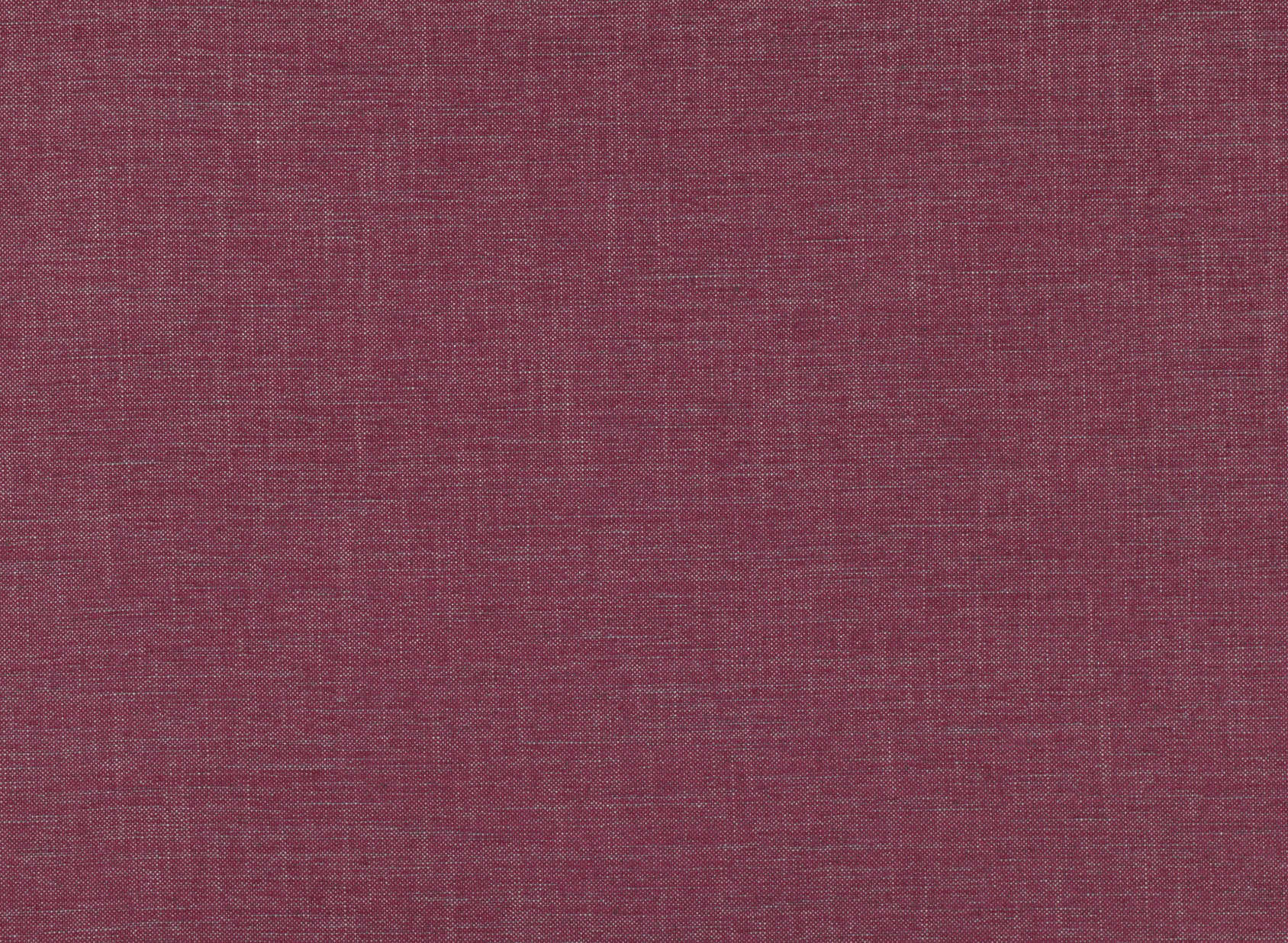 Alberta Verbena V3136-36