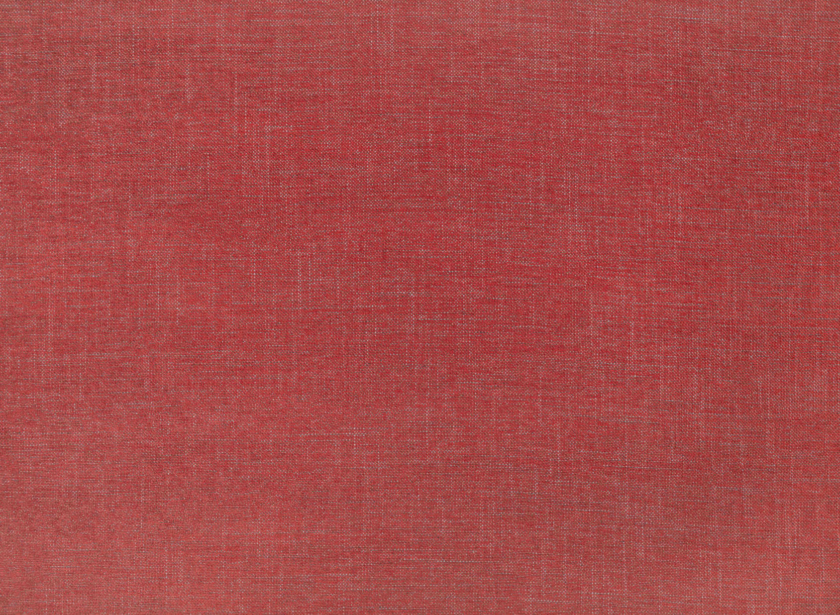 Alberta Paprika V3136-55