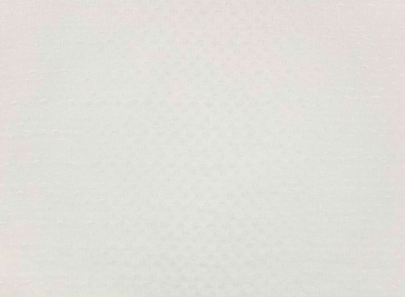 Alumina V3489-01