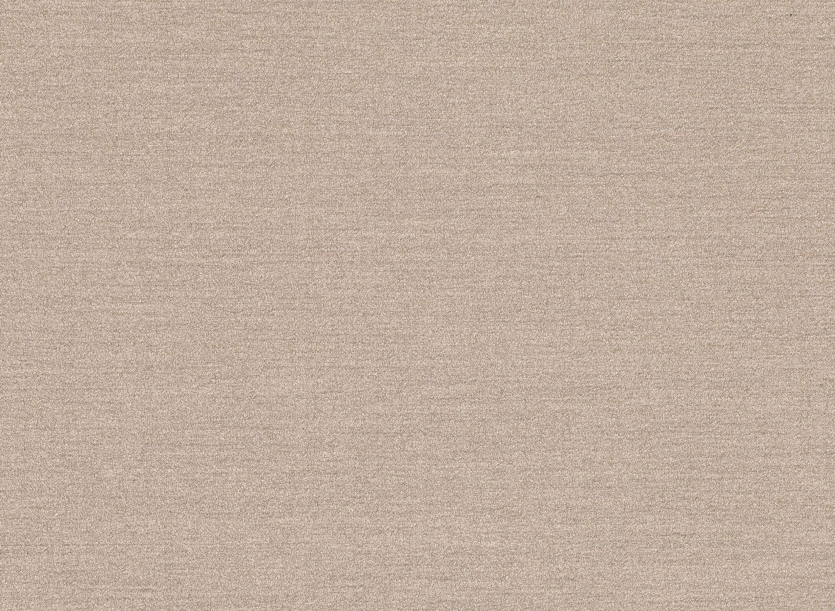 Ambient Chinchilla V3212-04