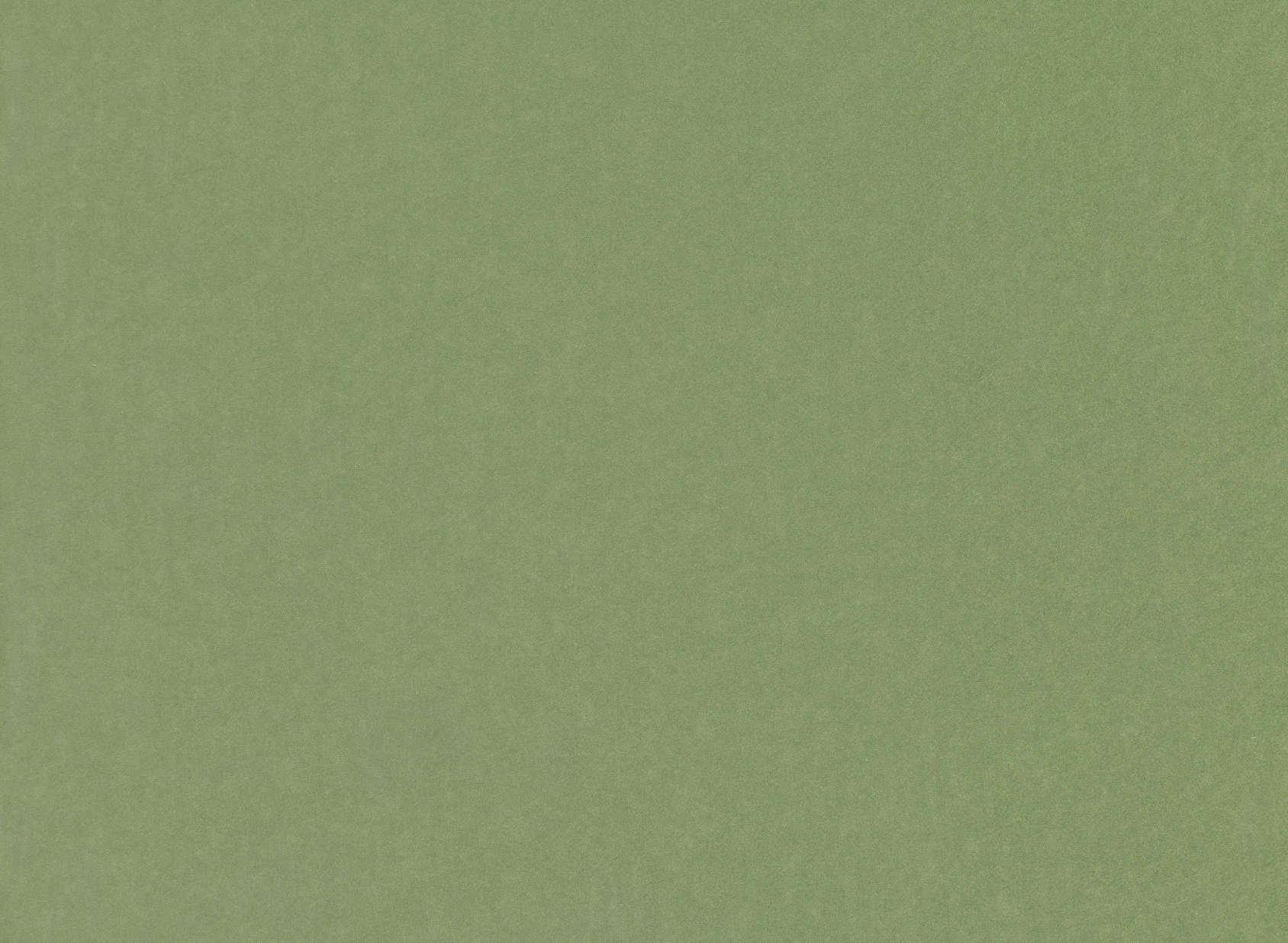Atil Grass V3229-03