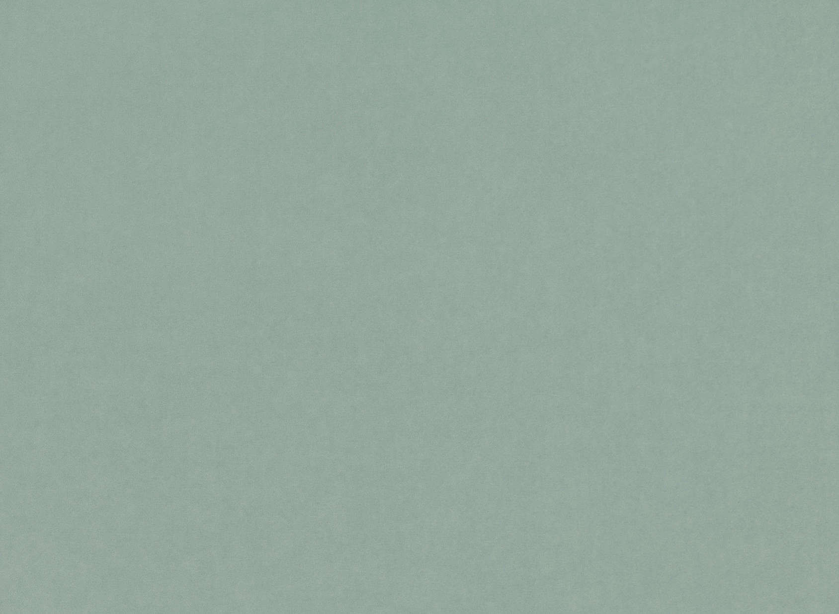 Atil Eucalyptus V3229-23