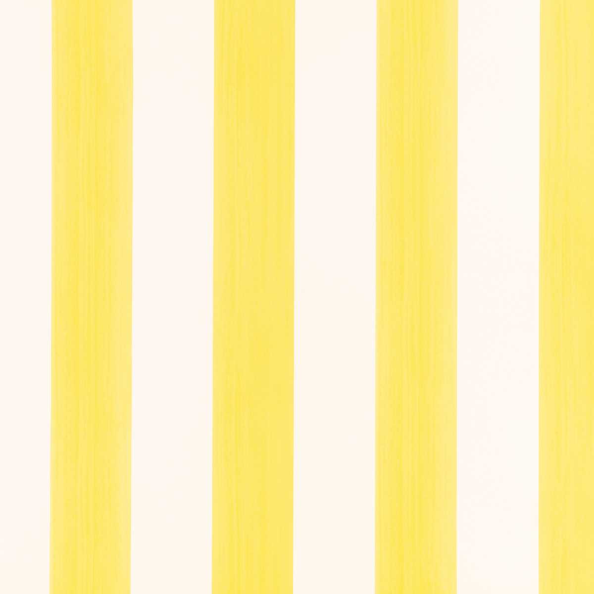 Candy Stripe Sunflower