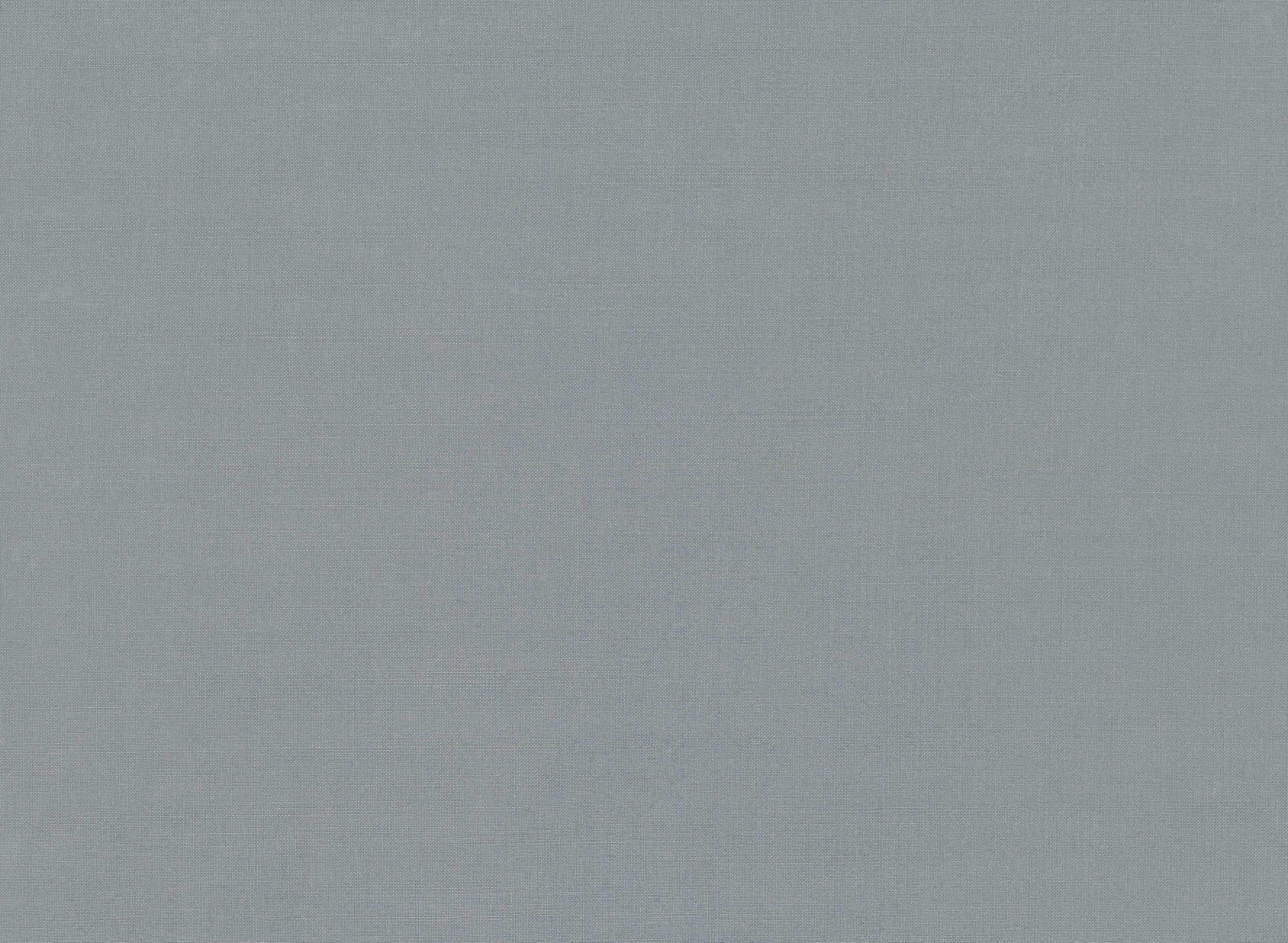 Diffuse Squirrel V3208-01
