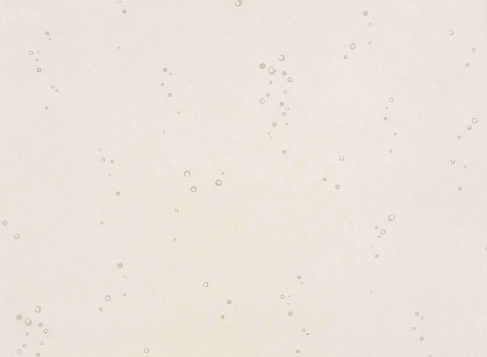 Ditto Wallcovering W627-04