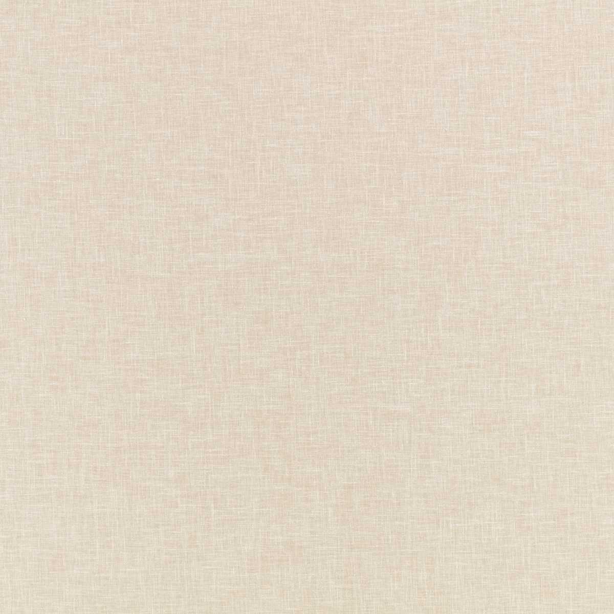 Havana Putty