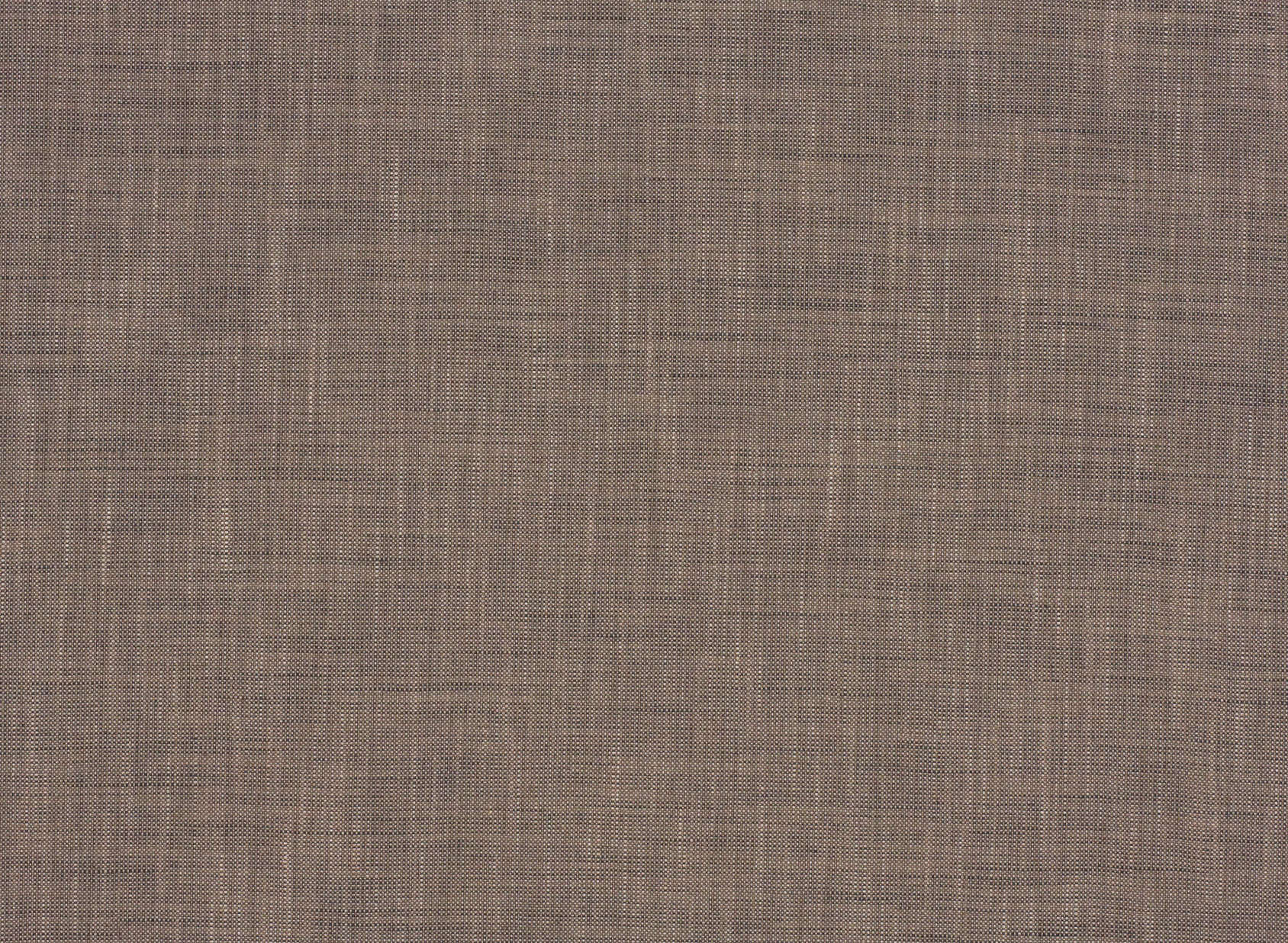 Malmo Donkey 2054-28