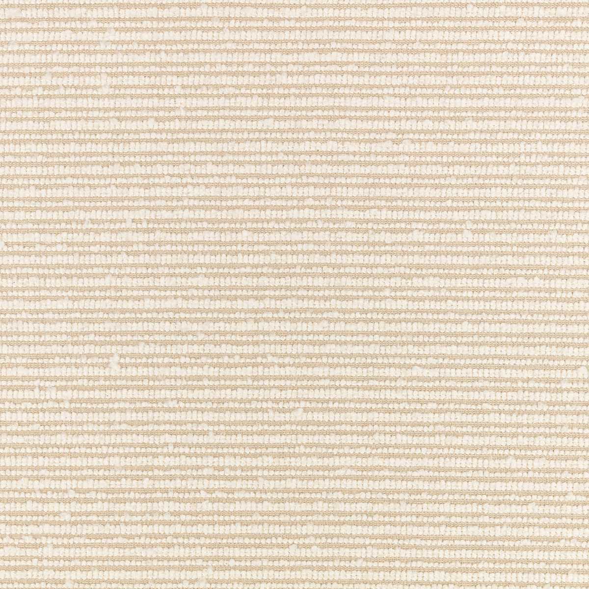 Torus Bone