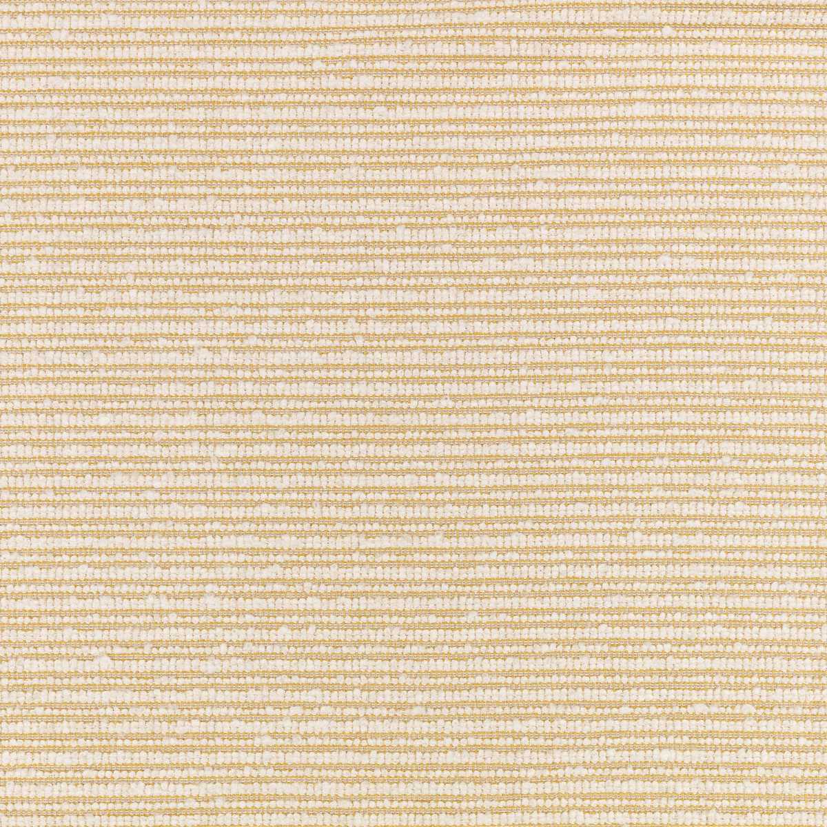 Torus Honey