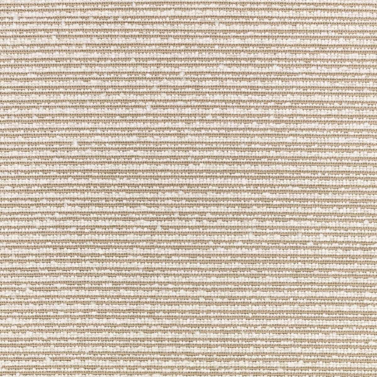 Torus Elm