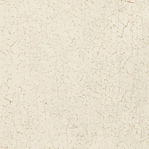 Virify 55 Almond