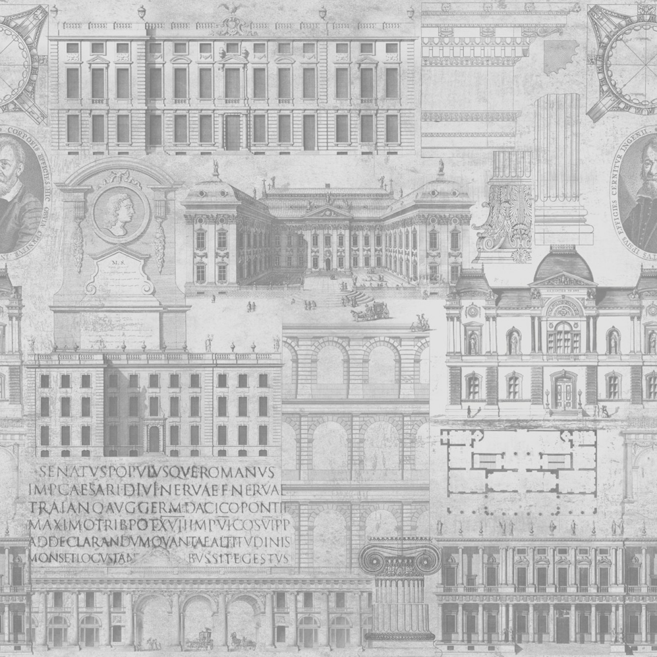 Vitruvius Neutral WP20027