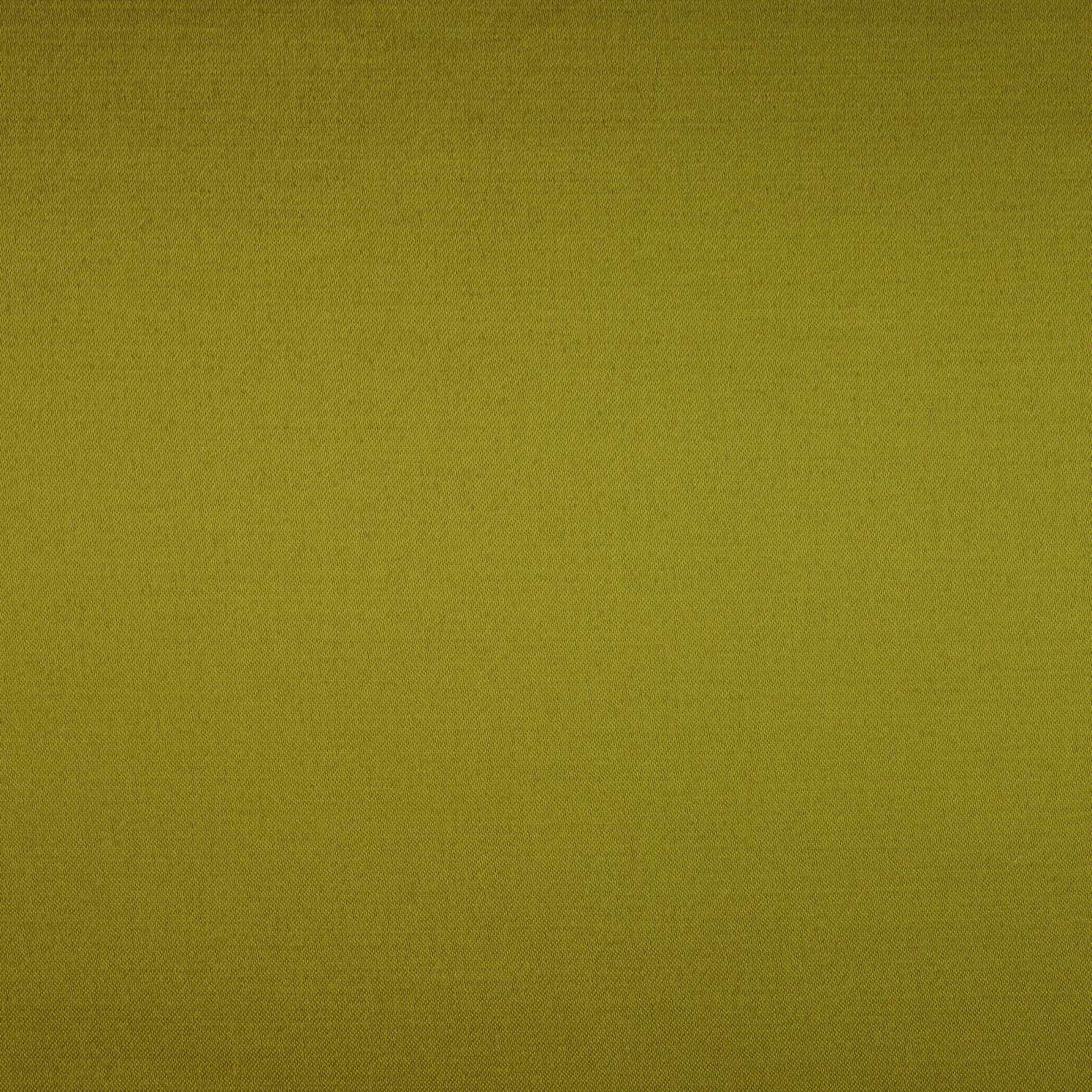 Vivid Lime 131687