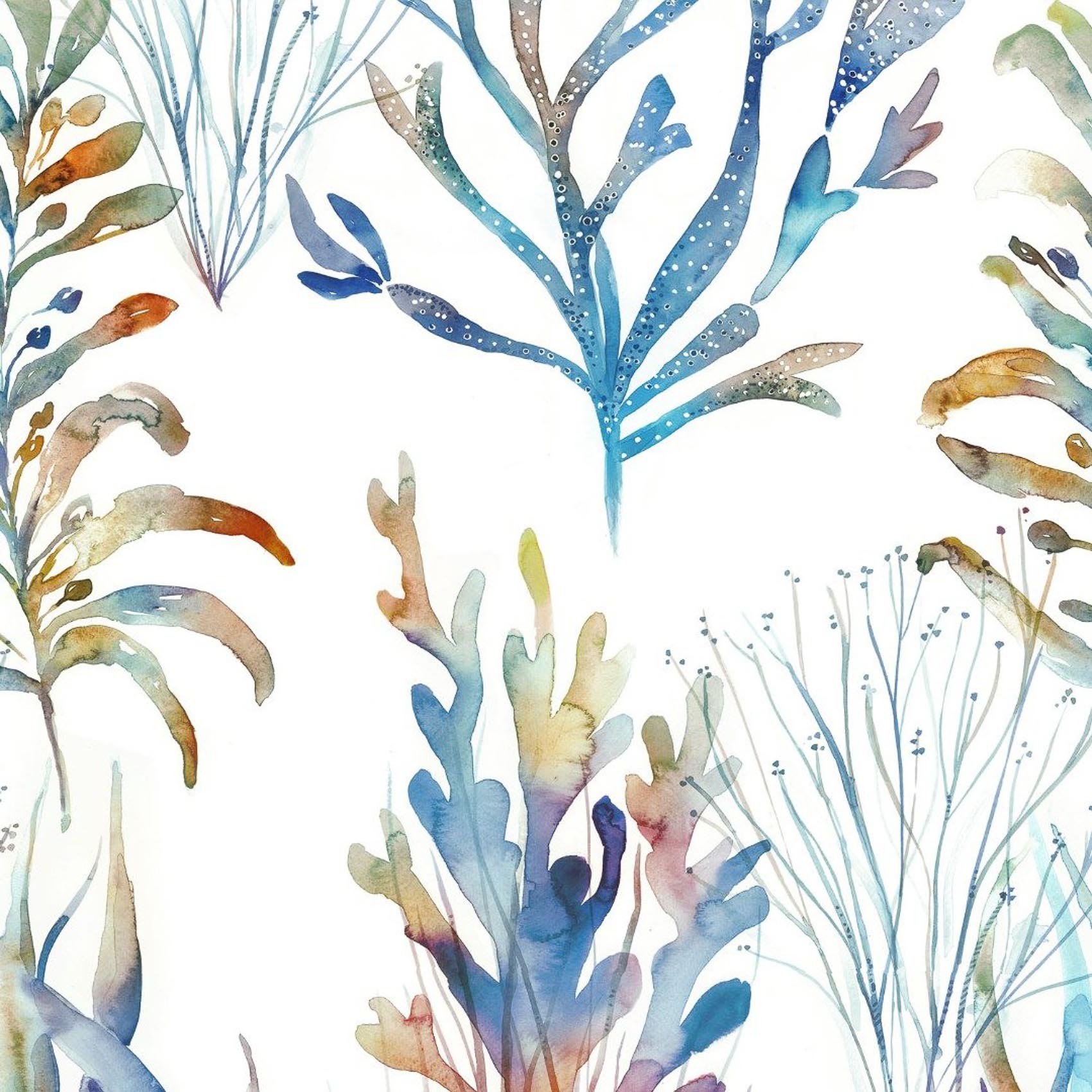 Coral Reef CORALREEF-241