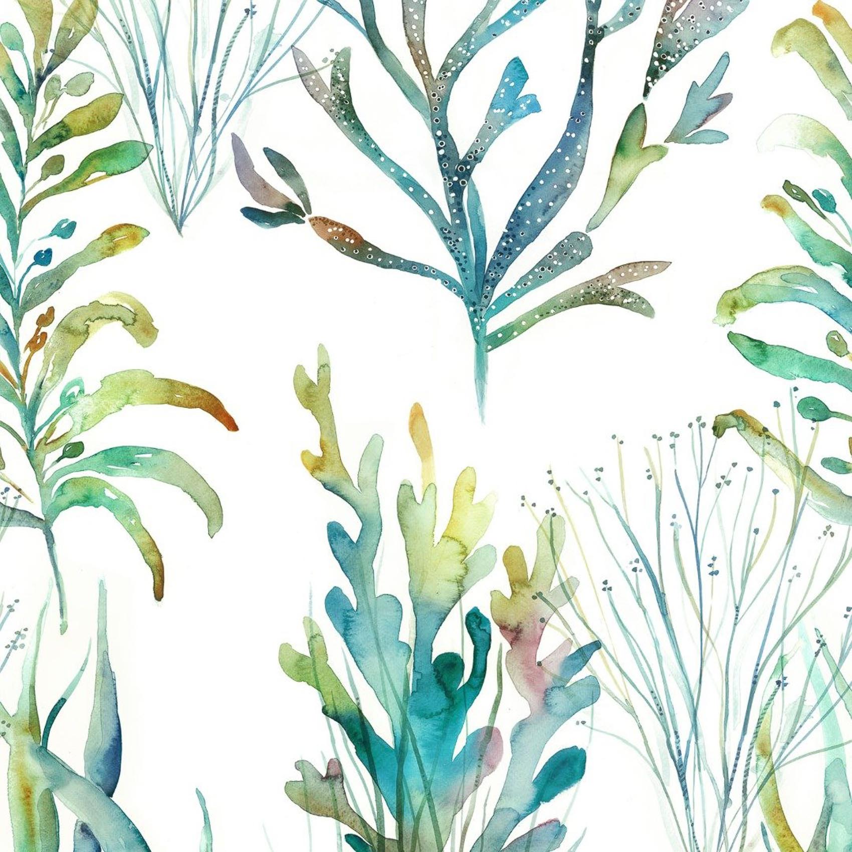 Coral Reef WA-WA21148-WA