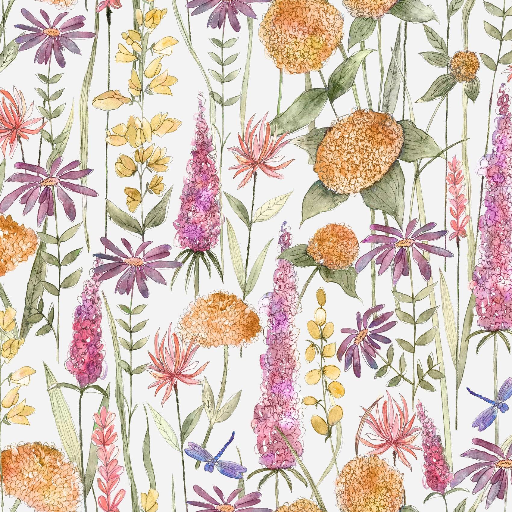 Florabunda WA-WA21208-WA