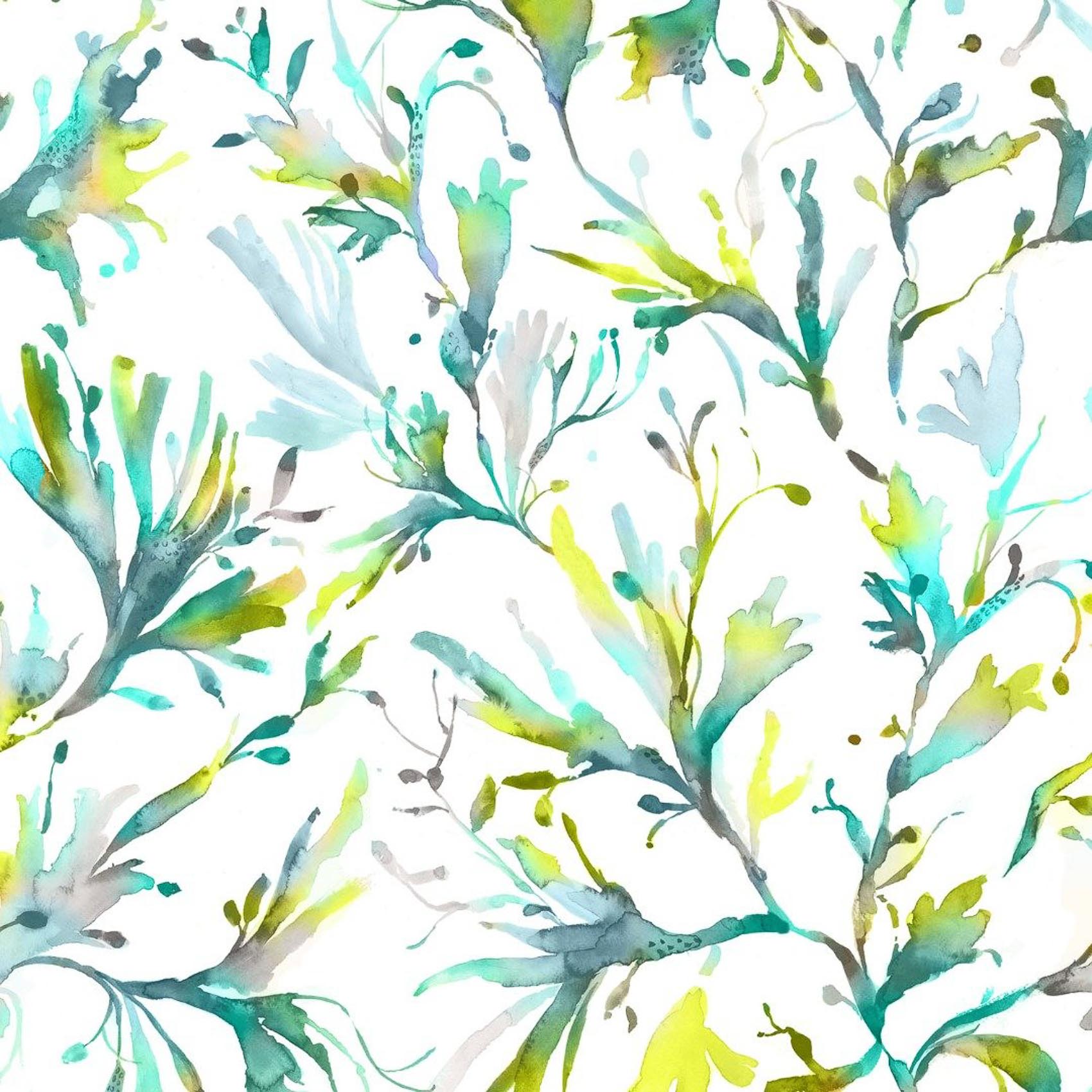 Seaweed SEAWEED-1590
