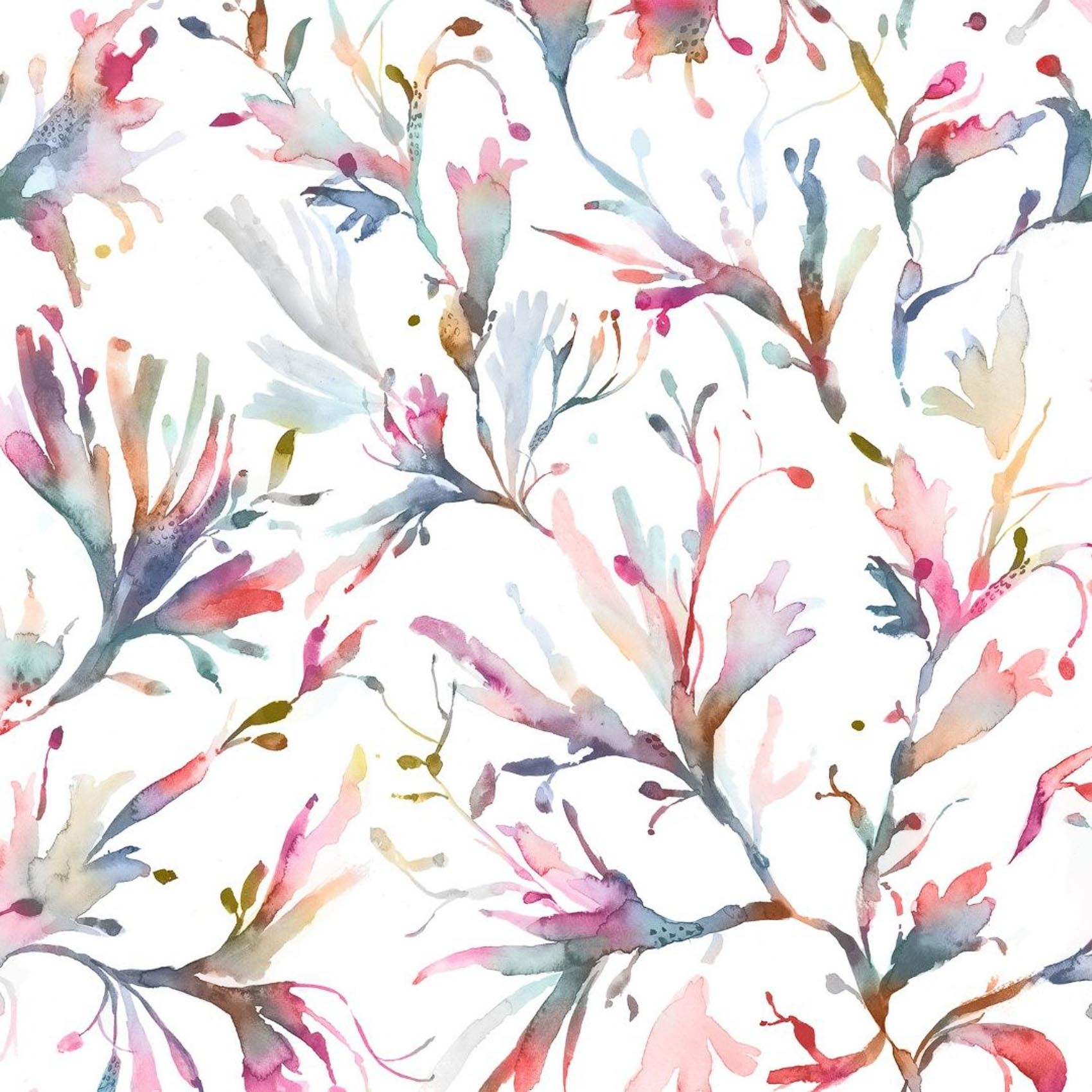 Seaweed SEAWEED-1591