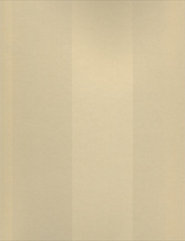 Coda W5388-02