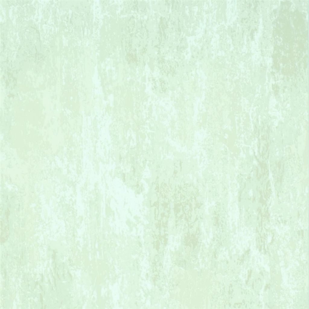 Ajanta Ivory P555-01